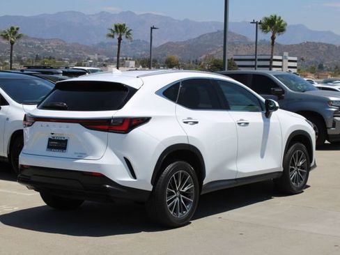 Certified 2026 Lexus NX 350h AWD w/ Cold Area Package image 21