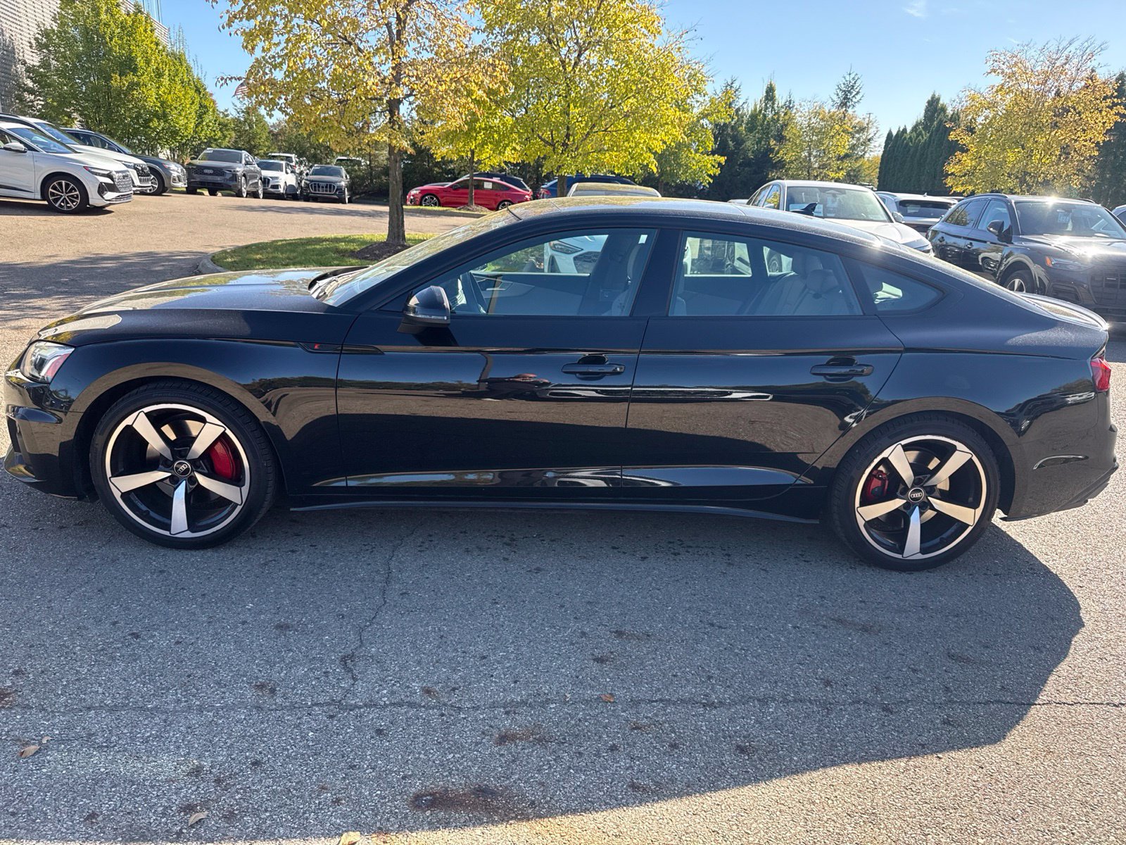 Used 2023 Audi A5 2.0T Premium Plus AWD/4WD image 2