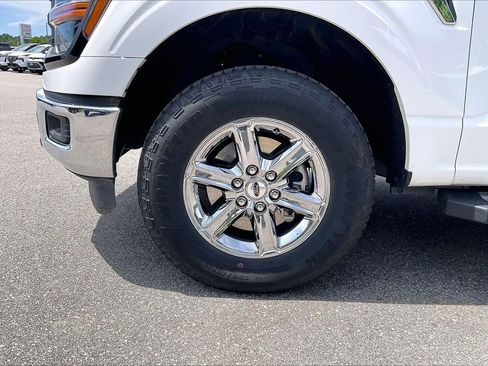 Used 2025 Ford F150 XLT w/ Equipment Group 301A Standard AWD/4WD image 7