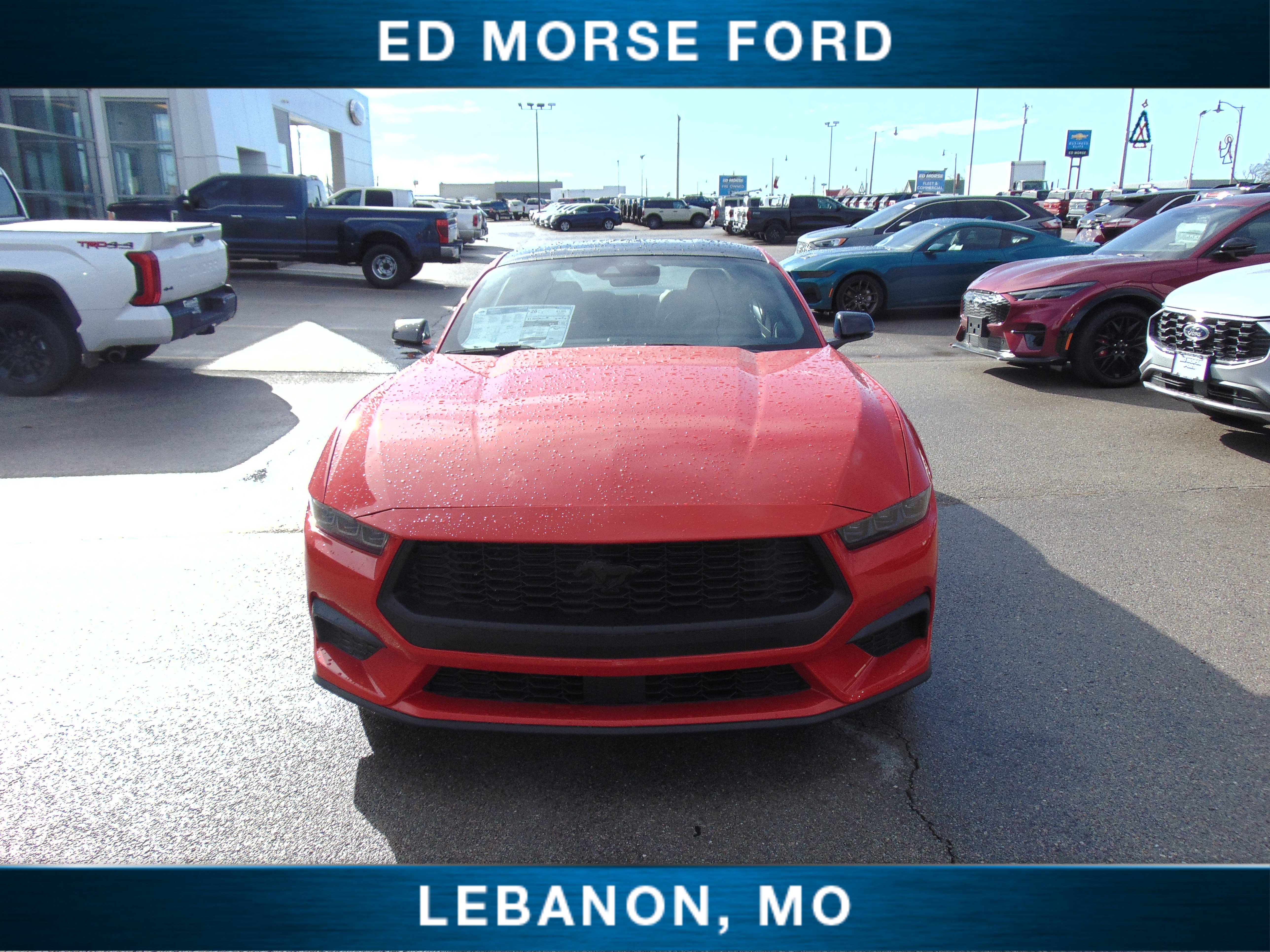 New 2026 Ford Mustang Premium RWD image 3