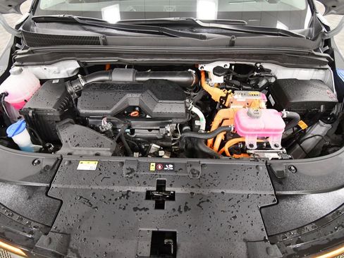 Used 2025 Kia Carnival SX Prestige image 11