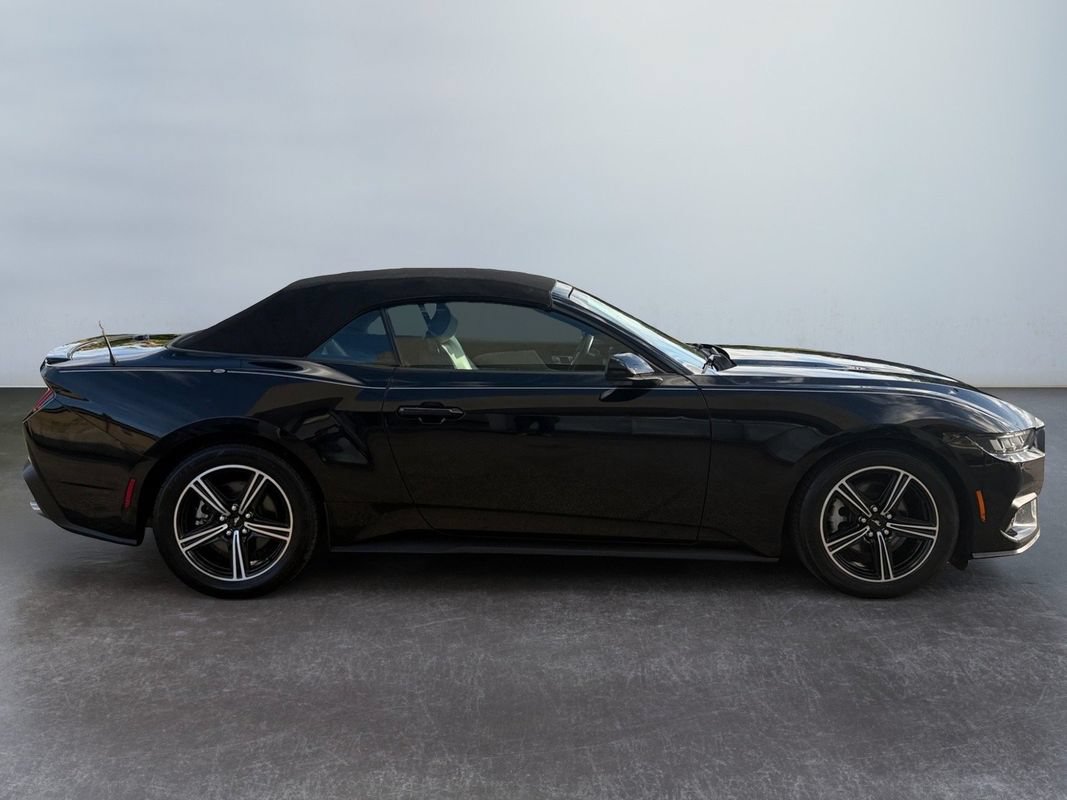 Used 2024 Ford Mustang Premium RWD image 5