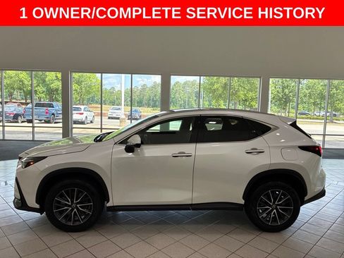 Certified 2024 Lexus NX 250 FWD image 4