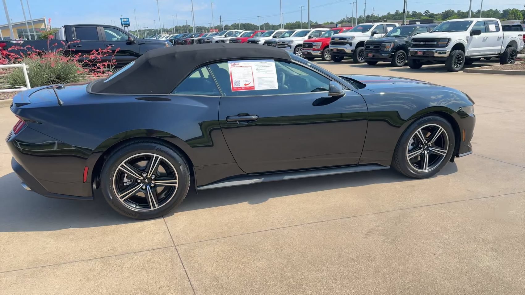 Used 2025 Ford Mustang Premium RWD image 8