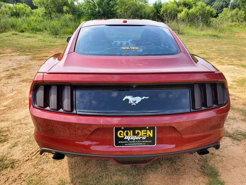 Used 2016 Ford Mustang Premium w/ Equipment Group 201A RWD image 8