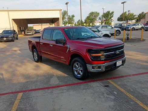 Used 2025 Ford F150 XLT w/ Equipment Group 301A Standard AWD/4WD image 6