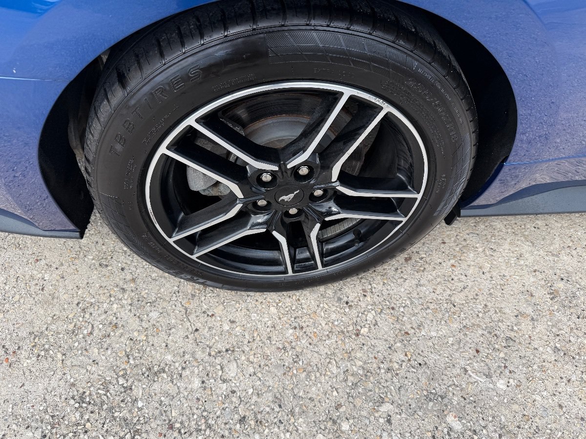 Used 2023 Ford Mustang Premium RWD image 11