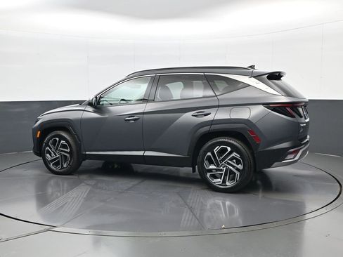 Certified 2025 Hyundai Tucson Limited image 7