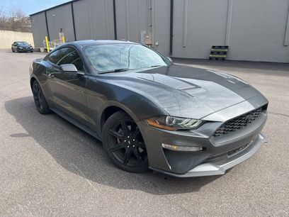 Used 2019 Ford Mustang Coupe w/ Equipment Group 101A
