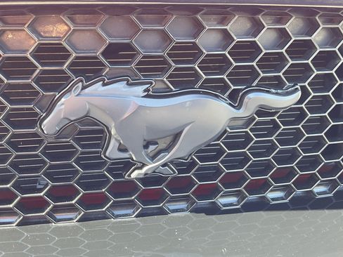 Used 2019 Ford Mustang GT Premium w/ GT Performance Package RWD image 6