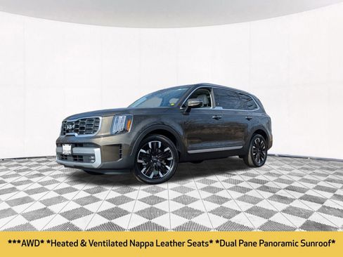 Used 2023 Kia Telluride SX Prestige image 2