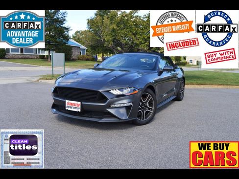 Used 2018 Ford Mustang Premium w/ Equipment Group 101A image 1