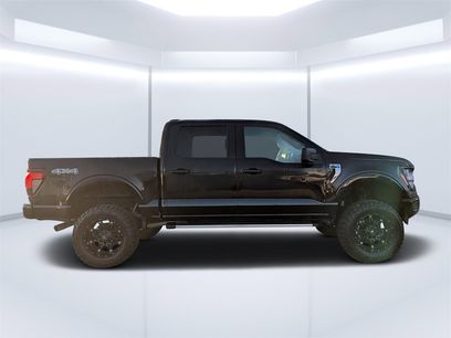 Used 2025 Ford F150 XLT w/ Equipment Group 301A Standard