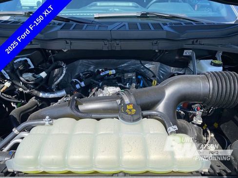New 2025 Ford F150 XLT w/ Equipment Group 302A MID image 14