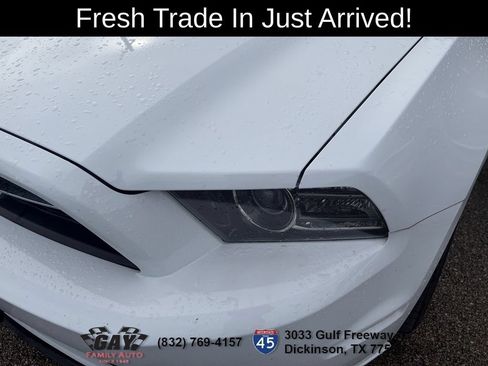 Used 2014 Ford Mustang Premium w/ Equipment Group 202A RWD image 4