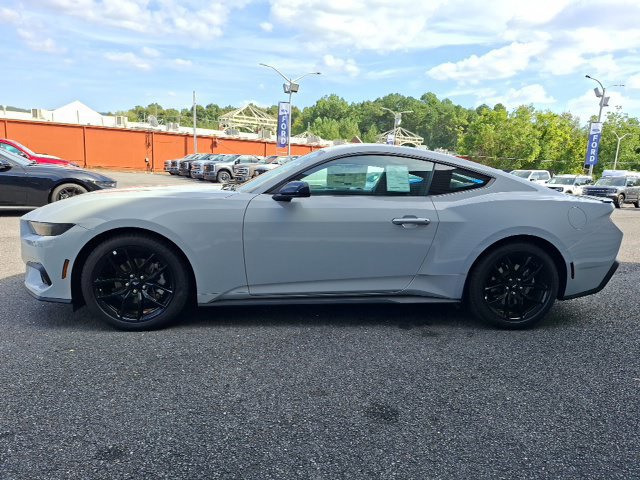 New 2026 Ford Mustang Coupe w/ Mustang Nite Pony Package RWD image 6