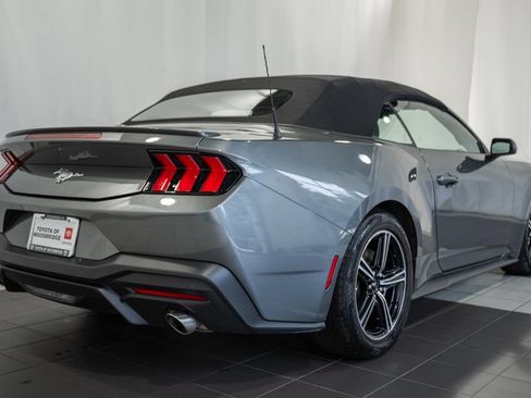 Used 2025 Ford Mustang Premium RWD image 4