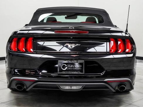 Used 2019 Ford Mustang Premium w/ Equipment Group 201A RWD image 7