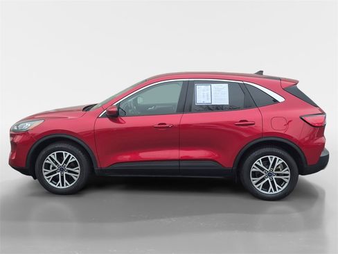 Used 2022 Ford Escape SEL image 7
