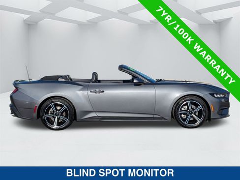 Certified 2024 Ford Mustang Premium image 3