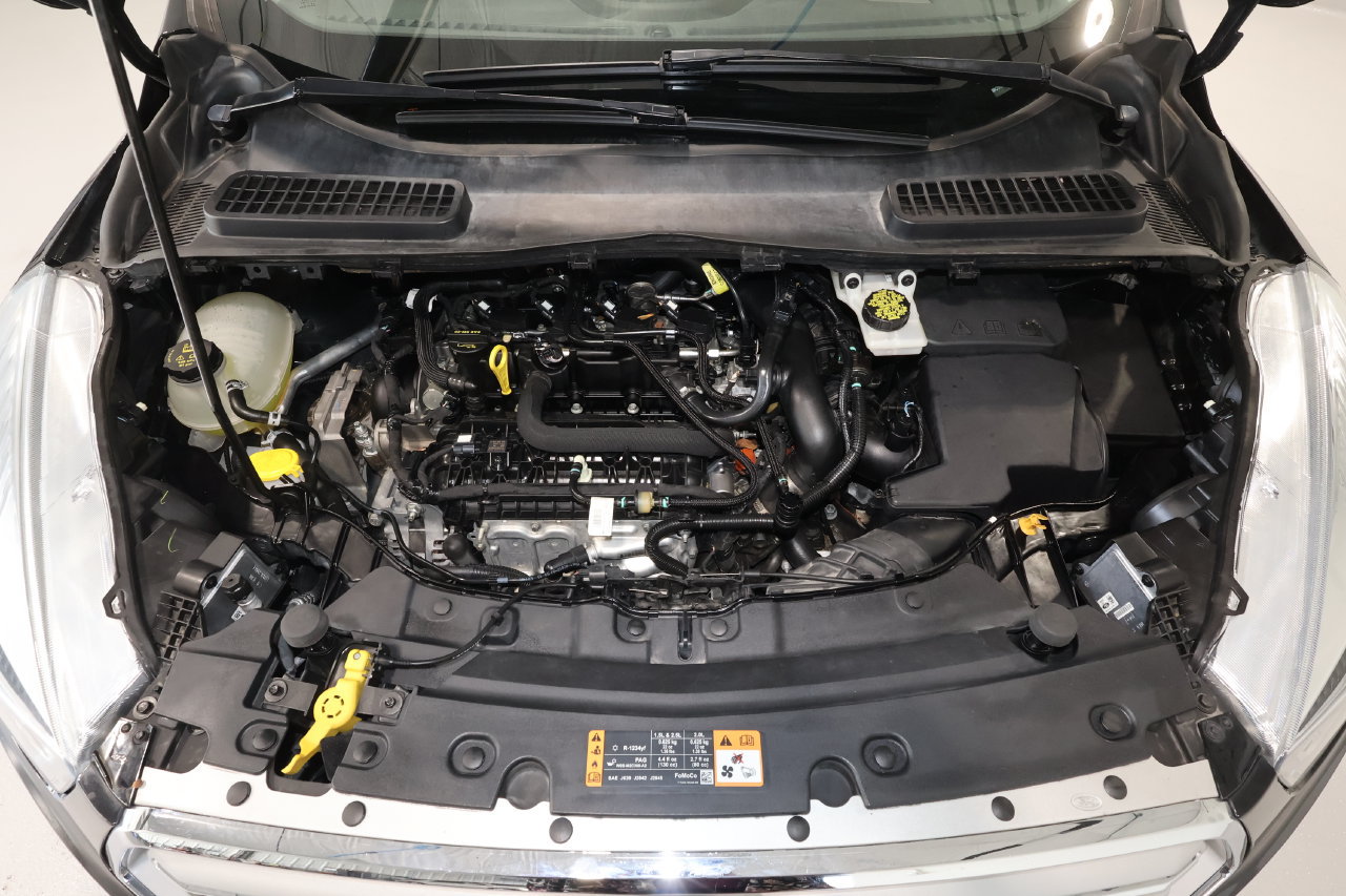 Used 2019 Ford Escape SEL FWD image 19