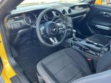 Used 2017 Ford Mustang Convertible image 5
