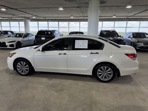 Used 2012 Honda Accord EX-L image 5