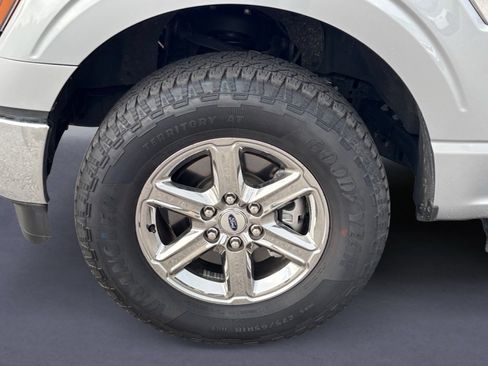 Used 2025 Ford F150 XLT w/ Equipment Group 301A Standard AWD/4WD image 10