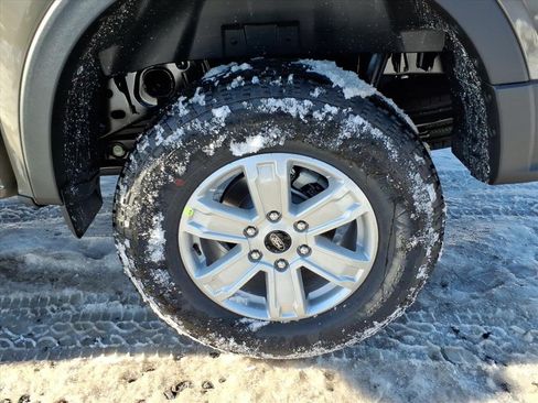 New 2025 Ford Ranger XL image 7