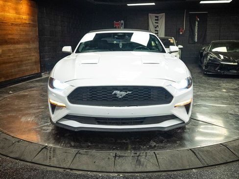 Used 2023 Ford Mustang Premium RWD image 4