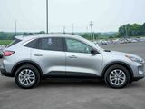 Used 2022 Ford Escape SE w/ Convenience Package image 4