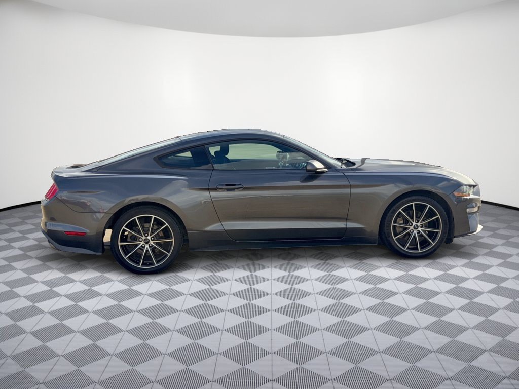 Used 2018 Ford Mustang Coupe w/ Wheel & Stripe Package RWD image 8