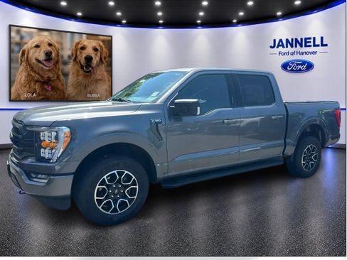 Used 2023 Ford F150 XLT w/ Equipment Group 302A High AWD/4WD image 1