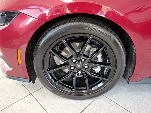 Certified 2025 Ford Mustang Premium w/ Mustang Nite Pony Package image 8