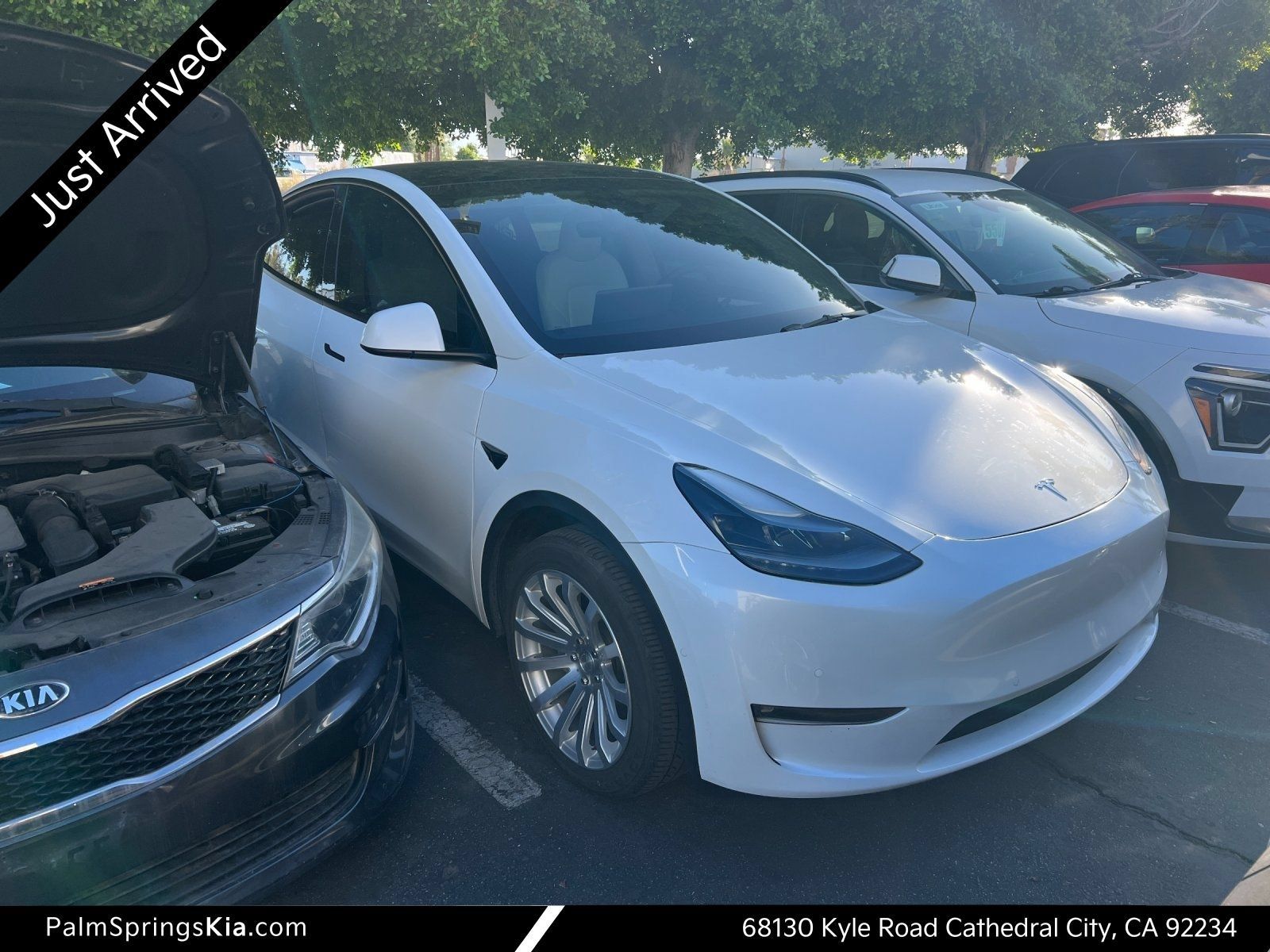 Used 2022 Tesla Model Y Long Range AWD/4WD image 1