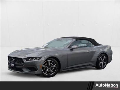 Used 2024 Ford Mustang Premium