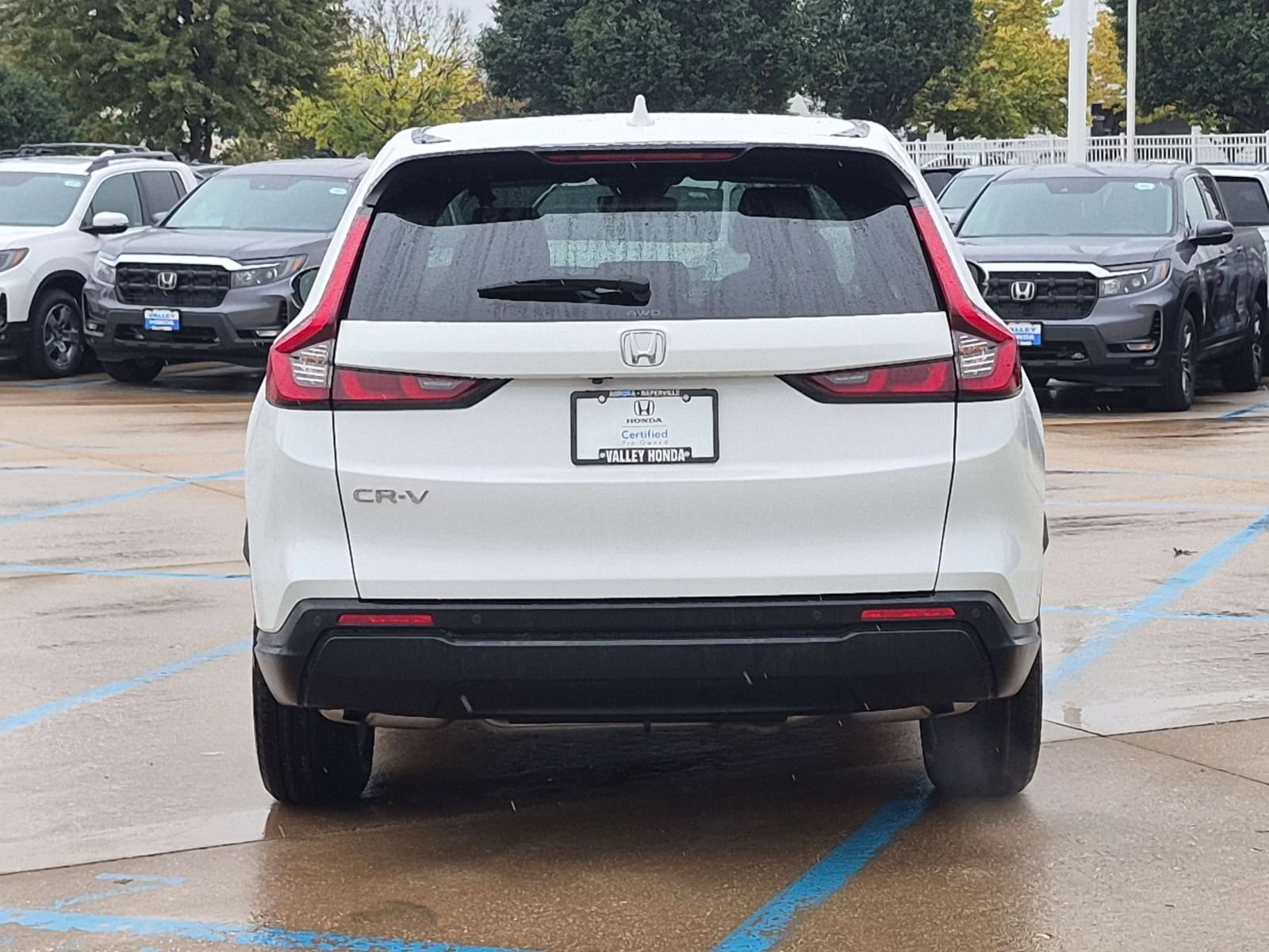 Certified 2024 Honda CR-V EX-L image 8