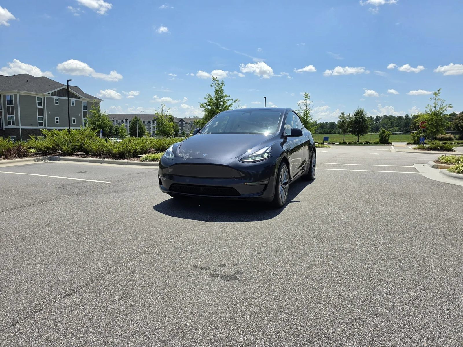 Used 2024 Tesla Model Y Long Range AWD/4WD image 1