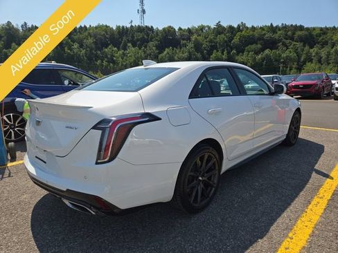 Used 2023 Cadillac CT4 Sport AWD/4WD image 5