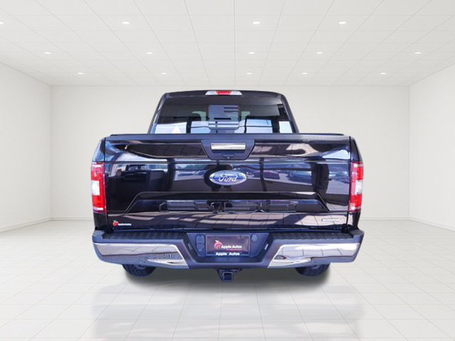 Certified 2019 Ford F150 XLT w/ Equipment Group 302A Luxury AWD/4WD image 5