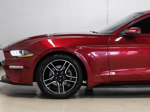 Used 2019 Ford Mustang Premium RWD image 16