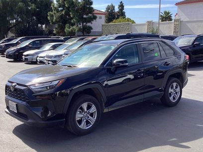 Used 2025 Toyota RAV4 XLE