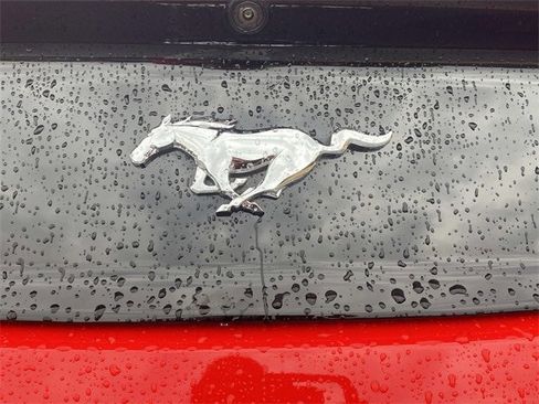 Certified 2017 Ford Mustang Premium w/ Equipment Group 201A image 47