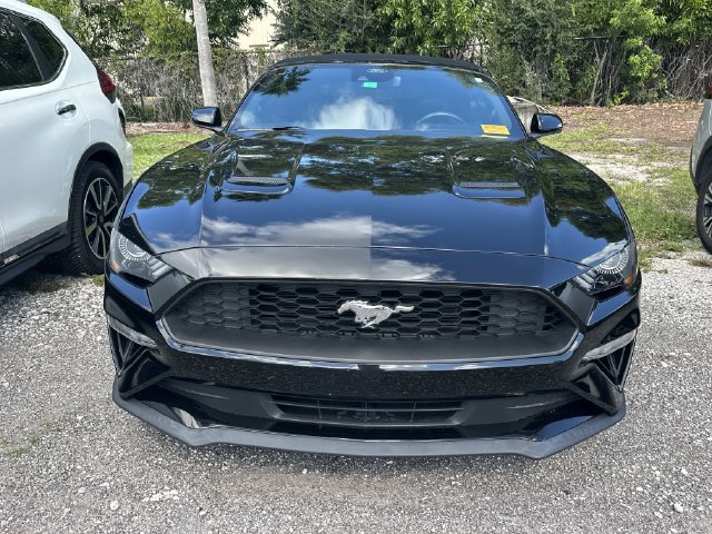 Used 2022 Ford Mustang Premium w/ Equipment Group 201A RWD image 2
