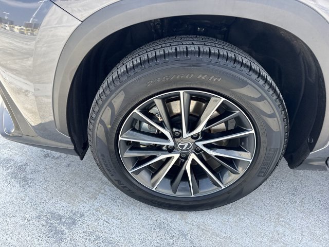 Certified 2024 Lexus NX 250 FWD w/ Cold Area Package image 10