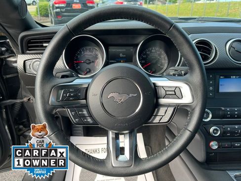 Used 2019 Ford Mustang Coupe RWD image 11