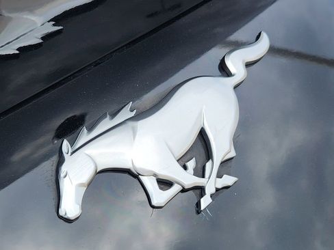 Used 2024 Ford Mustang Premium image 14