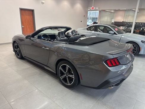Certified 2025 Ford Mustang Premium RWD image 13