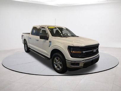 Used 2025 Ford F150 XLT w/ Equipment Group 301A Standard