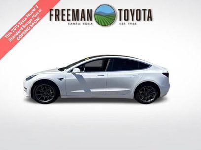 Used 2019 Tesla Model 3 Standard Range Plus